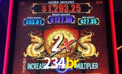Descubra o Mundo do Cassino Online com 234br